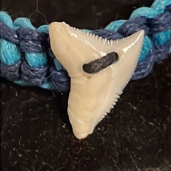 8” two tone adjustable woven cord bracelet w/14.7mm x 10.52mm real shark tooth - Picture 7 of 12